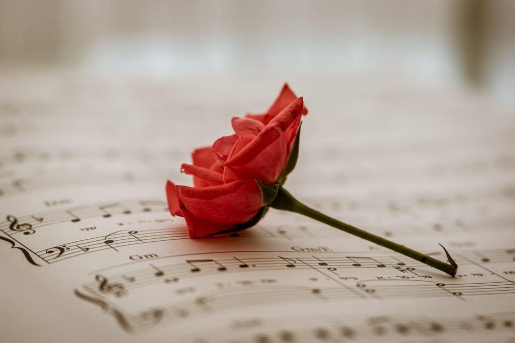 sheet music, red rose, red flower, sounds of music, song, melody, musical notes, pianoforte, tones, hebrew, piece of music, compose, flower and music, joy of life, music wallpaper, fresh rose, nostalgia, musical mood, happyvalentine's, love music, spectacular, free line, anticipation, music theme, cd cover, red rose, song, song, song, song, song